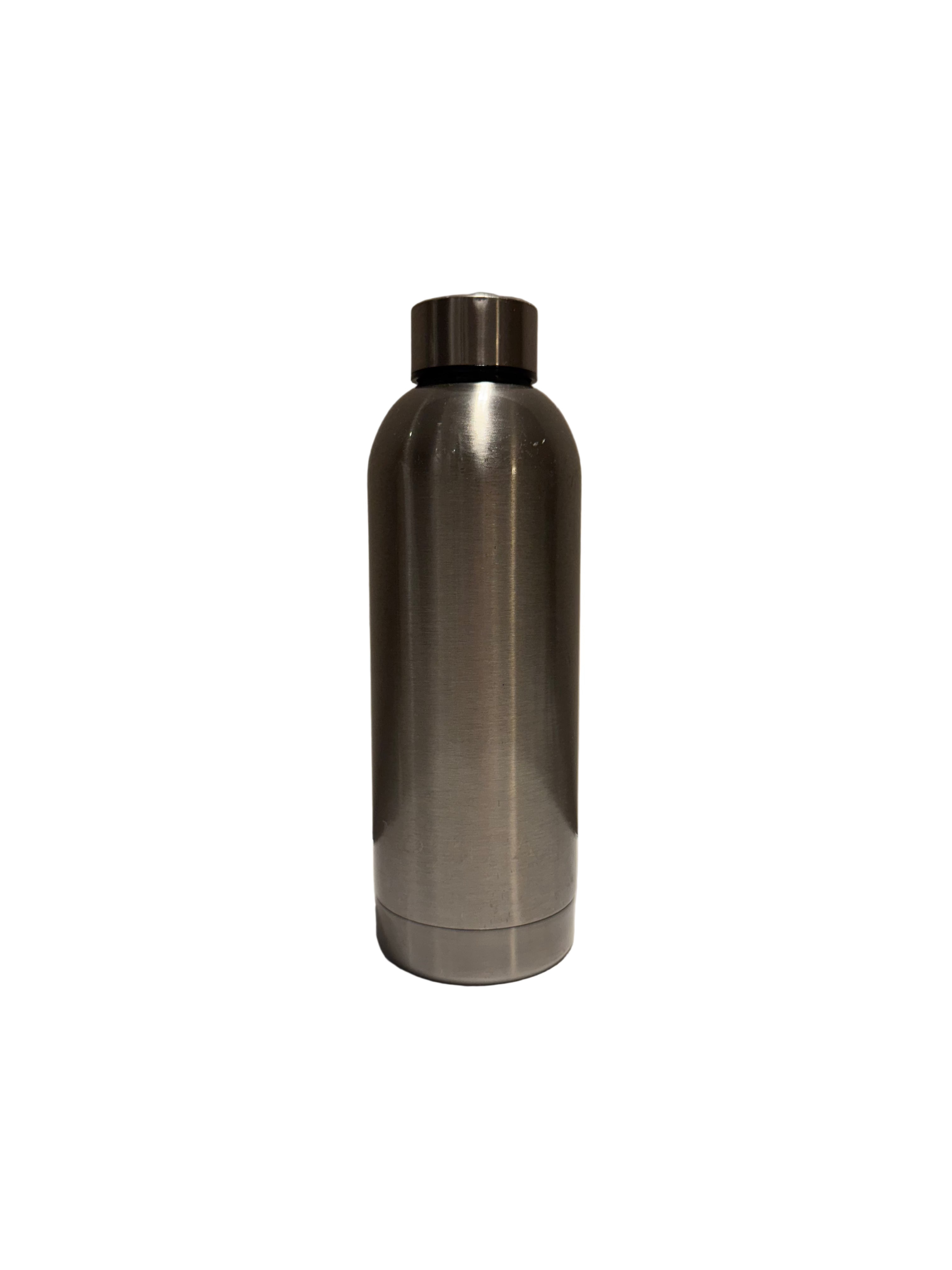 STAINLESS STEEL WATER BOTTLE